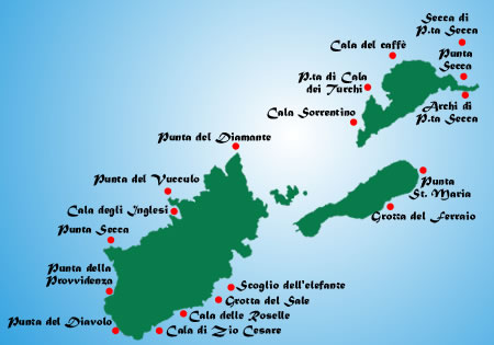 Immersioni alle Isole Tremiti