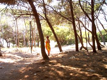 Pomeriggio di relax nella pineta di San Domino alle Isole Tremiti.  (Verio e Virginia)